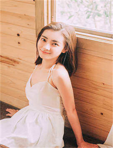 我的老婆是会长大人-神探包青天电视剧全集